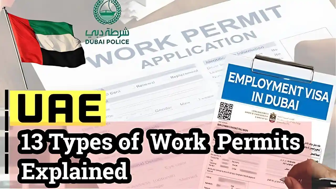 UAE Work Permit Suspension 2025 1